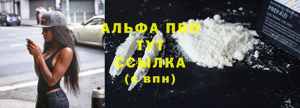 стаф Вяземский