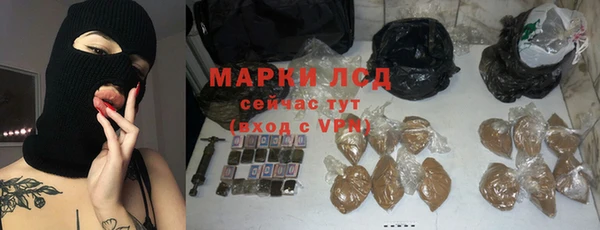 стаф Вяземский