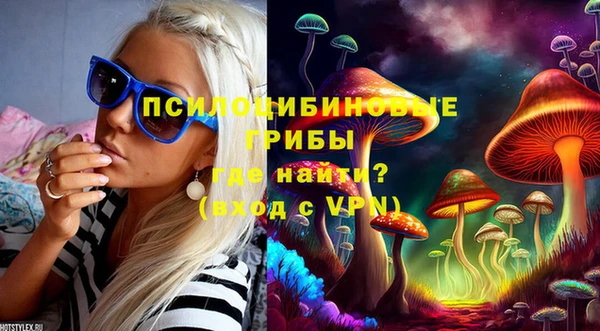 стаф Вяземский