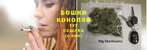 стаф Вяземский