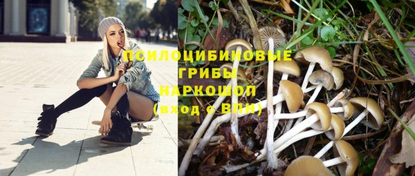 стаф Вяземский