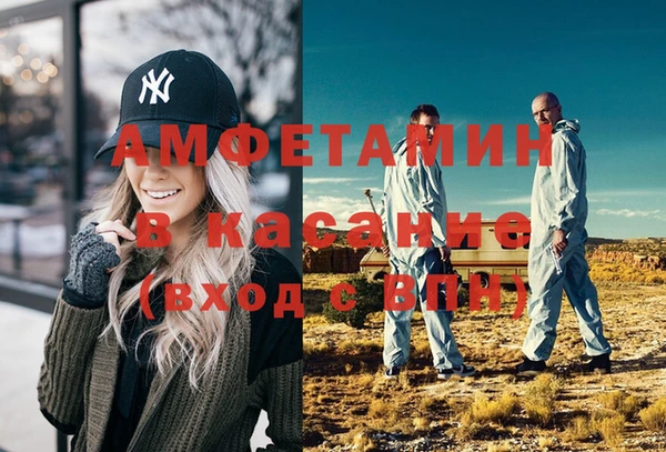 стаф Вяземский