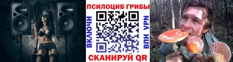 Купить где  Короча  Галлюциногенные грибы ЛСД 